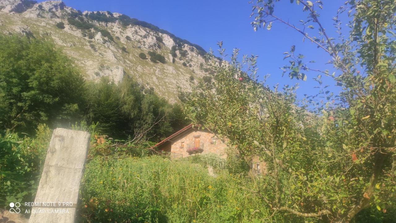 Dukebaso Villa Durango Kültér fotó